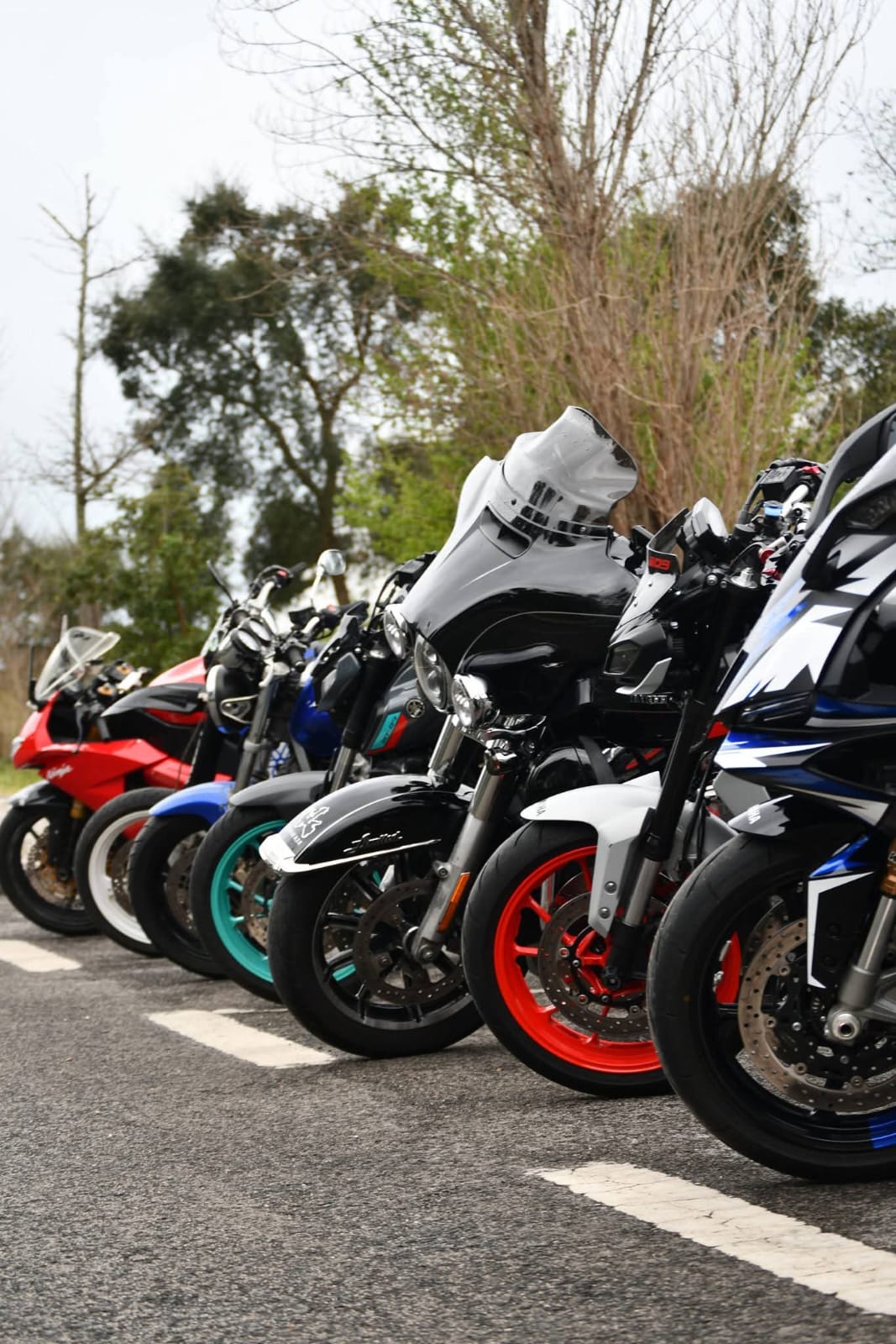 Série de motas multicoloridas alinhadas num parque de estacionamento com árvores ao fundo
